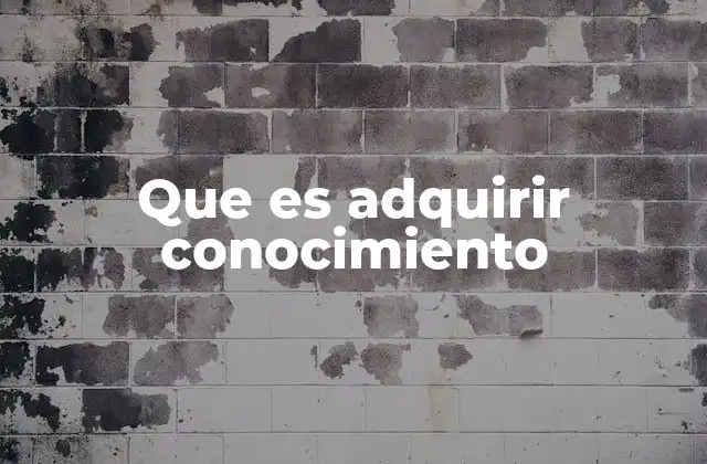 Cómo el aprendizaje transforma la manera en que entendemos el mundo