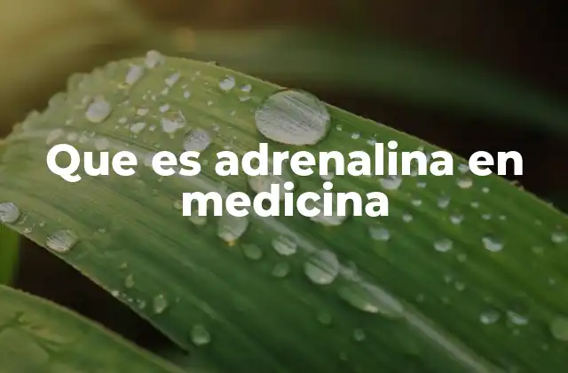 Que es Adrenalina en Medicina