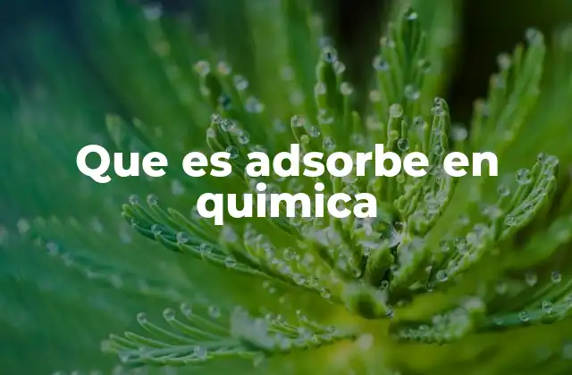 Que es Adsorbe en Quimica 2 La importancia de la adsorción en la química moderna
