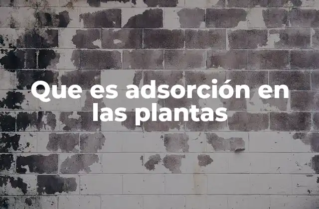 Que es Adsorción en las Plantas