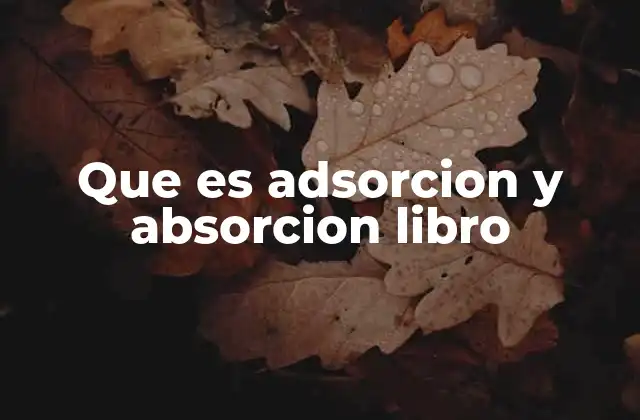Que es Adsorcion y Absorcion Libro 2 Diferencias entre adsorción y absorción en el ámbito científico