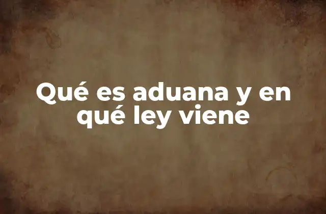 Qué es Aduana y en Qué Ley Viene