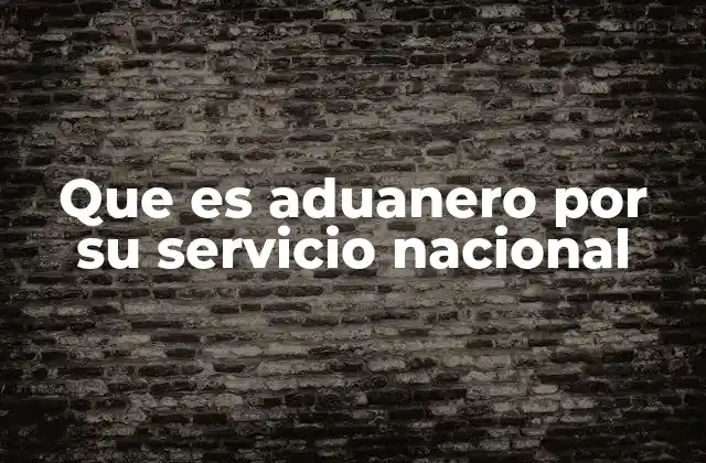 Que es Aduanero por Su Servicio Nacional