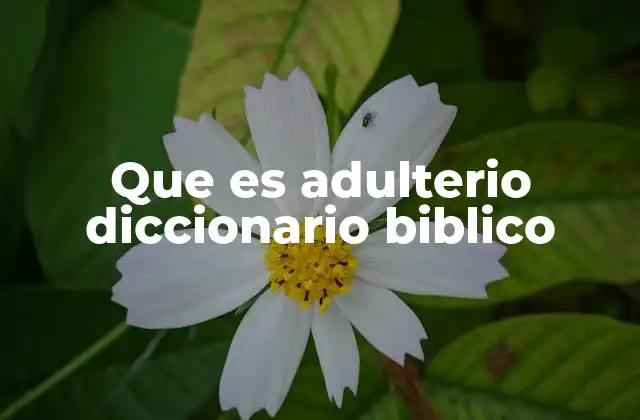 Que es Adulterio Diccionario Biblico