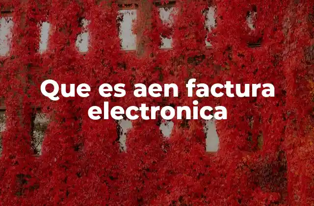 Que es Aen Factura Electronica