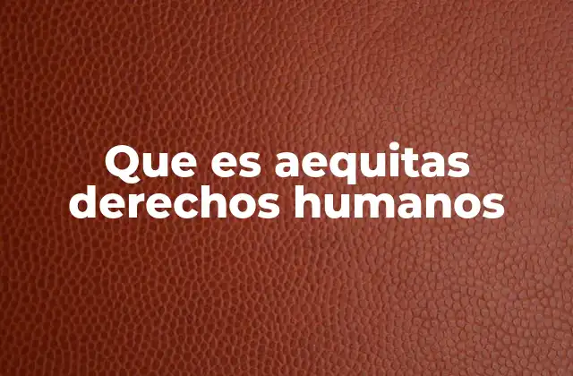 Que es Aequitas Derechos Humanos