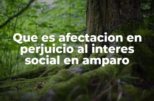 Que es Afectacion en Perjuicio Al Interes Social en Amparo
