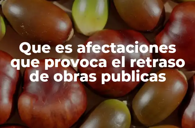 Que es Afectaciones que Provoca el Retraso de Obras Publicas