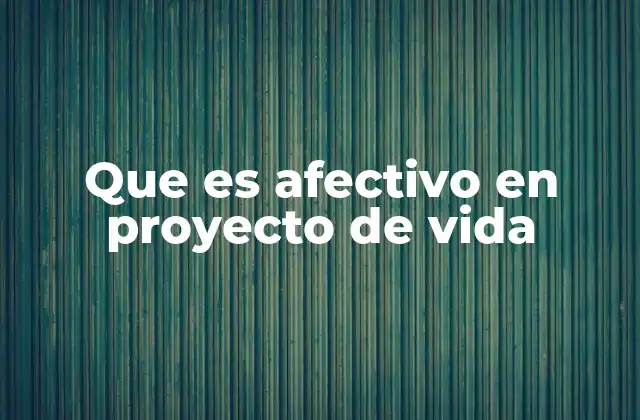 Que es Afectivo en Proyecto de Vida