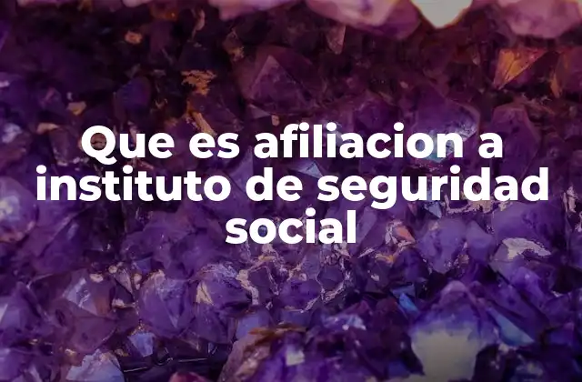 Que es Afiliacion a Instituto de Seguridad Social 2 Cómo se establece la relación entre el afiliado y el instituto de seguridad social