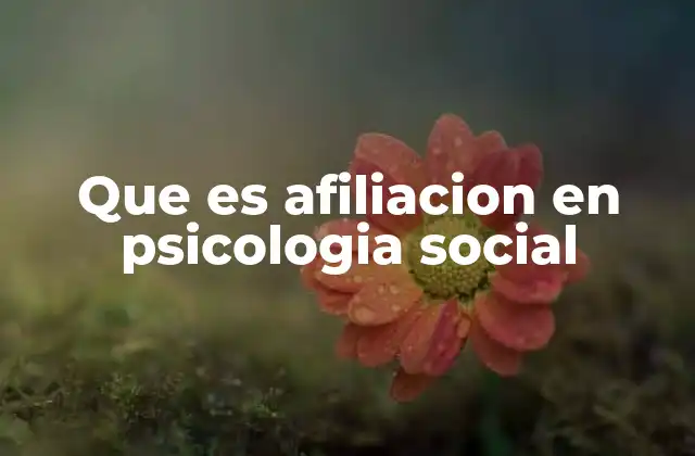 Que es Afiliacion en Psicologia Social