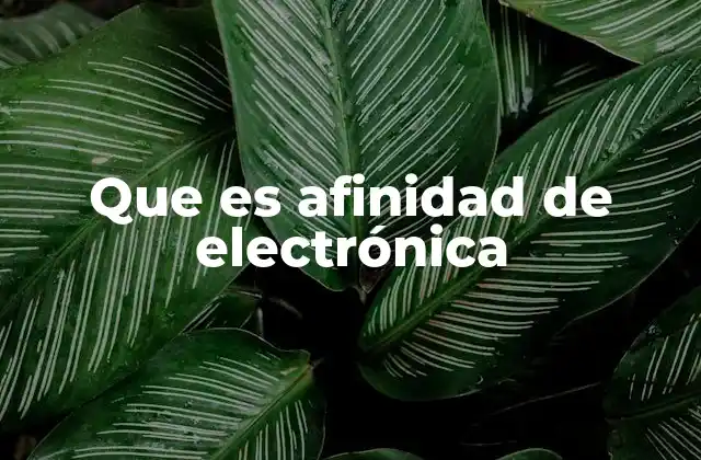 Que es Afinidad de Electrónica