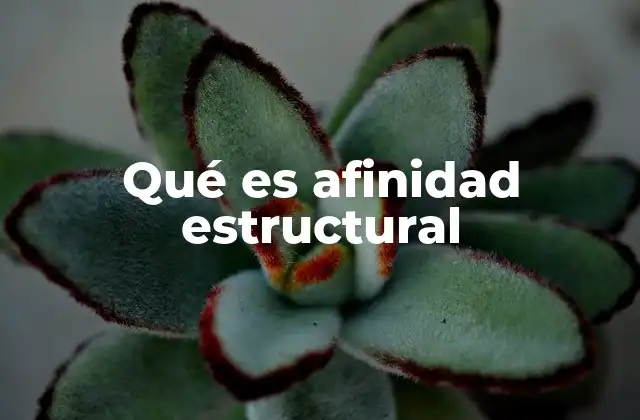 Qué es Afinidad Estructural