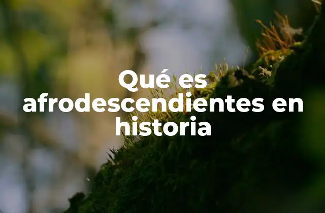 Qué es Afrodescendientes en Historia