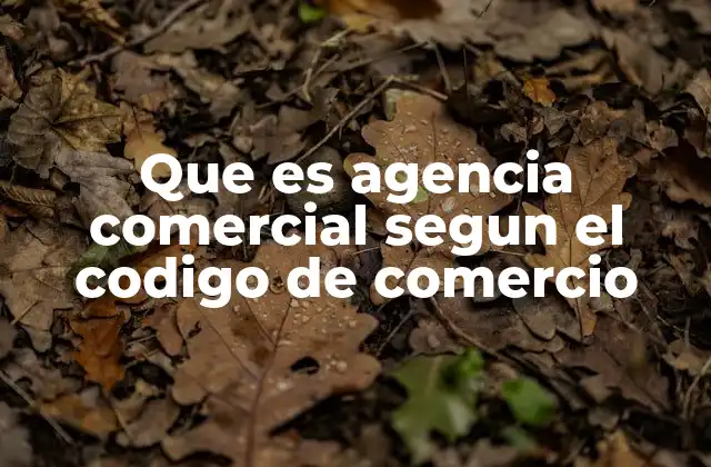 Que es Agencia Comercial Segun el Codigo de Comercio 2 La importancia de la representación en el comercio exterior