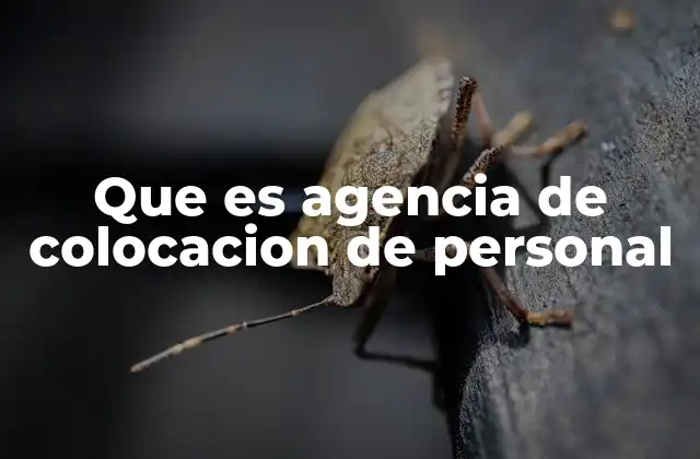 El papel de las agencias de colocación en el mercado laboral