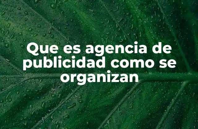 Que es Agencia de Publicidad como Se Organizan