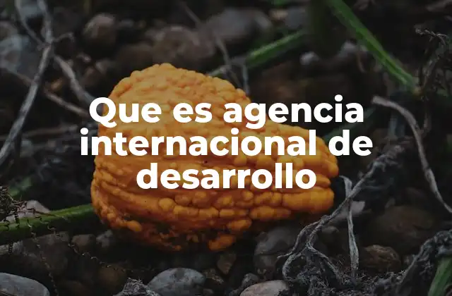 Que es Agencia Internacional de Desarrollo 2 El papel de las agencias en la lucha contra la pobreza global