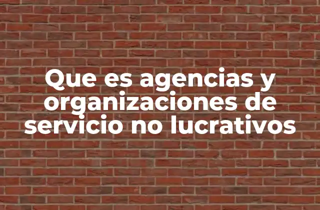 Que es Agencias y Organizaciones de Servicio No Lucrativos