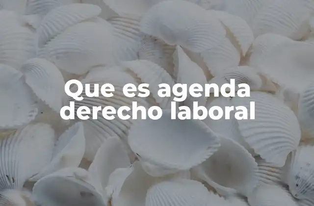 Que es Agenda Derecho Laboral