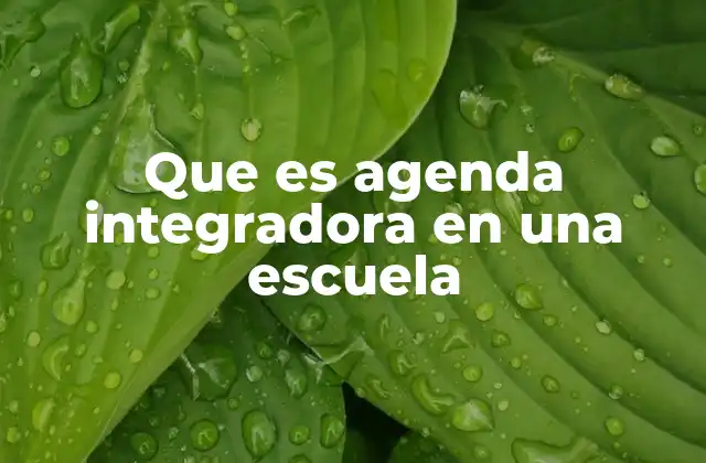 Que es Agenda Integradora en una Escuela
