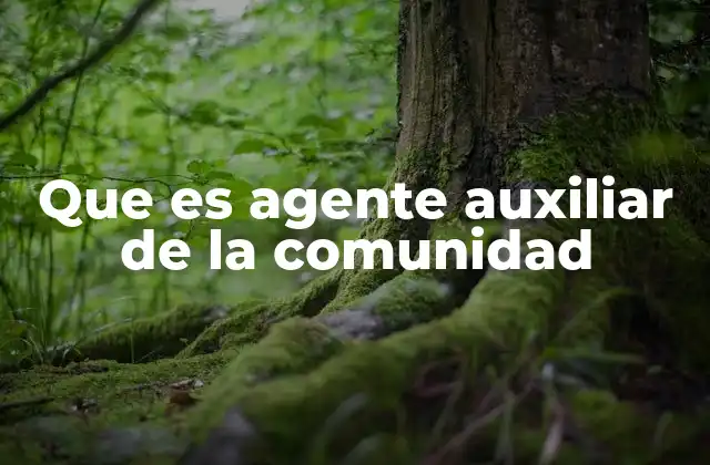 Que es Agente Auxiliar de la Comunidad