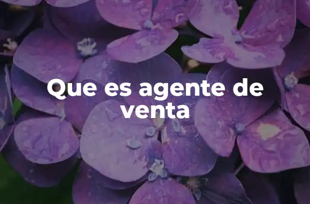 Que es Agente de Venta