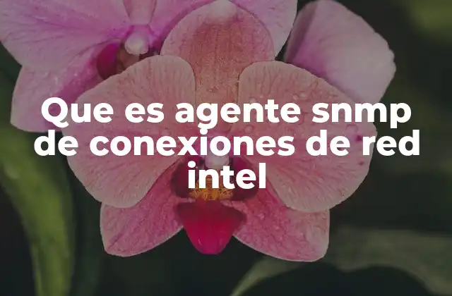 Que es Agente Snmp de Conexiones de Red Intel