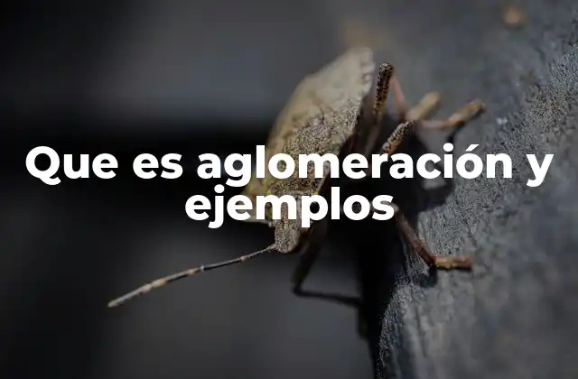 Que es Aglomeración y Ejemplos