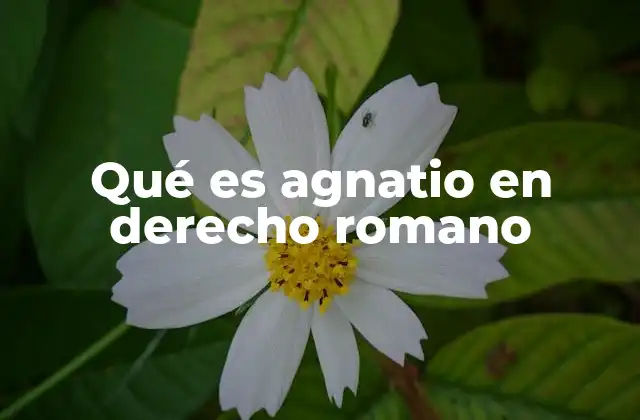 Qué es Agnatio en Derecho Romano