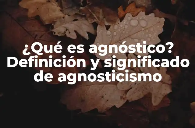 ¿qué es Agnóstico? Definición y Significado de Agnosticismo