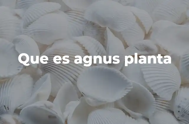 Que es Agnus Planta