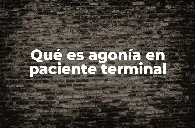 Qué es Agonía en Paciente Terminal