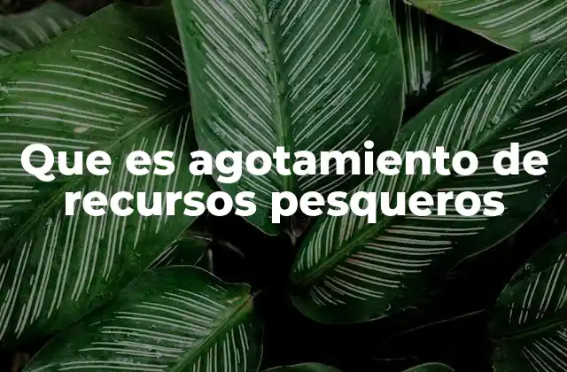 Que es Agotamiento de Recursos Pesqueros