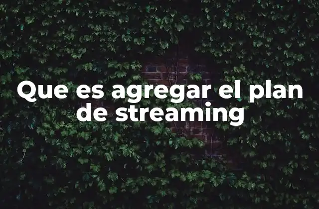 Que es Agregar el Plan de Streaming