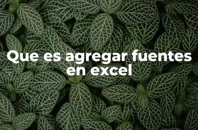 Que es Agregar Fuentes en Excel