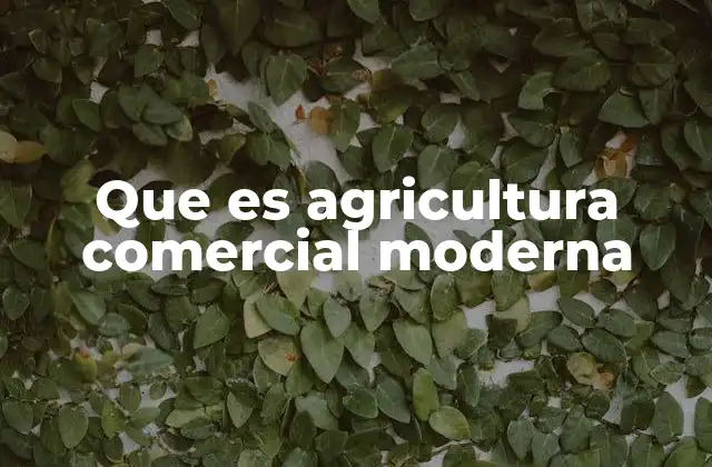 Que es Agricultura Comercial Moderna