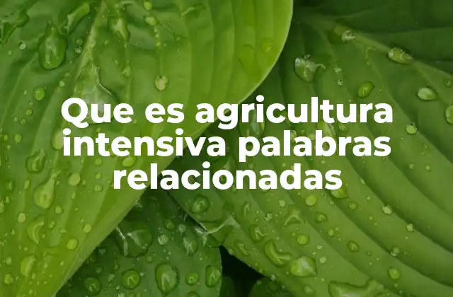 Factores que impulsan el uso de la agricultura intensiva en el mundo moderno