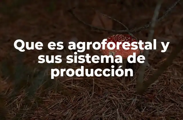 Que es Agroforestal y Sus Sistema de Producción