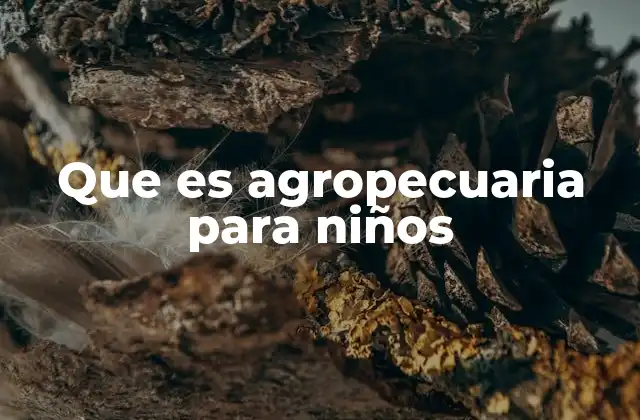 Que es Agropecuaria para Niños