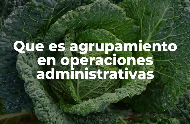 Que es Agrupamiento en Operaciones Administrativas