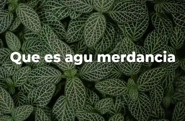 Que es Agu Merdancia