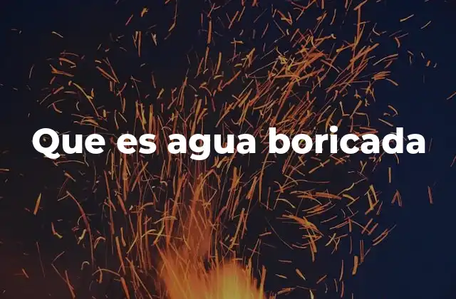 Que es Agua Boricada
