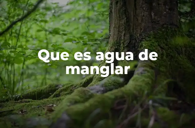Que es Agua de Manglar