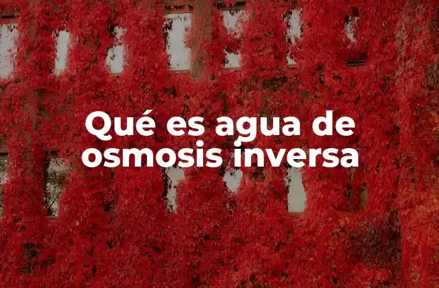 Qué es Agua de Osmosis Inversa
