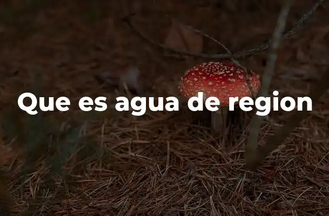 Que es Agua de Region
