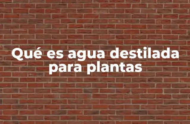 Qué es Agua Destilada para Plantas