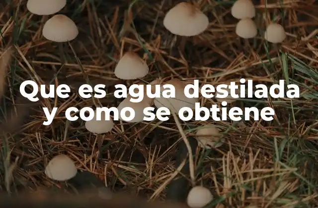 Que es Agua Destilada y como Se Obtiene 2 La importancia del agua purificada en diferentes industrias