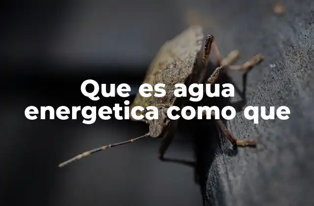 Que es Agua Energetica como que