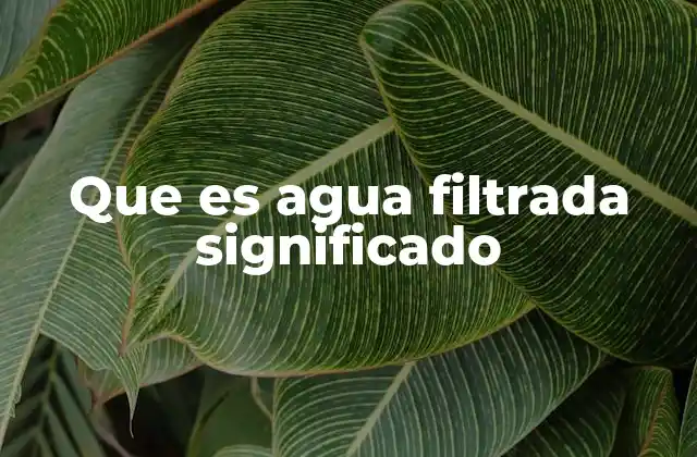 Que es Agua Filtrada Significado
